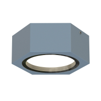 Накладной светильник Favourite Fantum 4666-1U