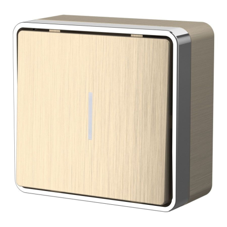 Выключатель одноклавишный с подсветкой Werkel Gallant (шампань рифленый) W5010110