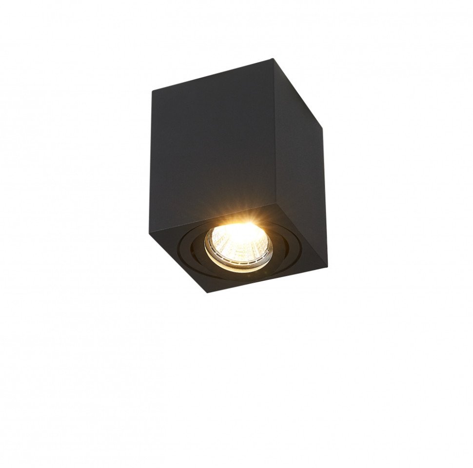 Накладной светильник Syneil 2038-1CLB, цвет черный - фото 1