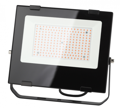 Фитопрожектор для растений светодиодный ЭРА FITO-100W-RB-LED для цветения и плодоношения красно-синего спектра 100 Вт Б0046369 