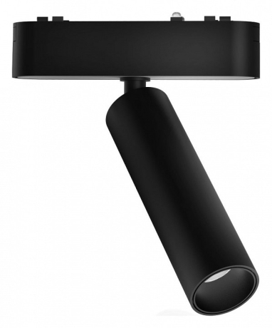 Светильник на штанге Wertmark WTH WTH.O10.607.30.07 