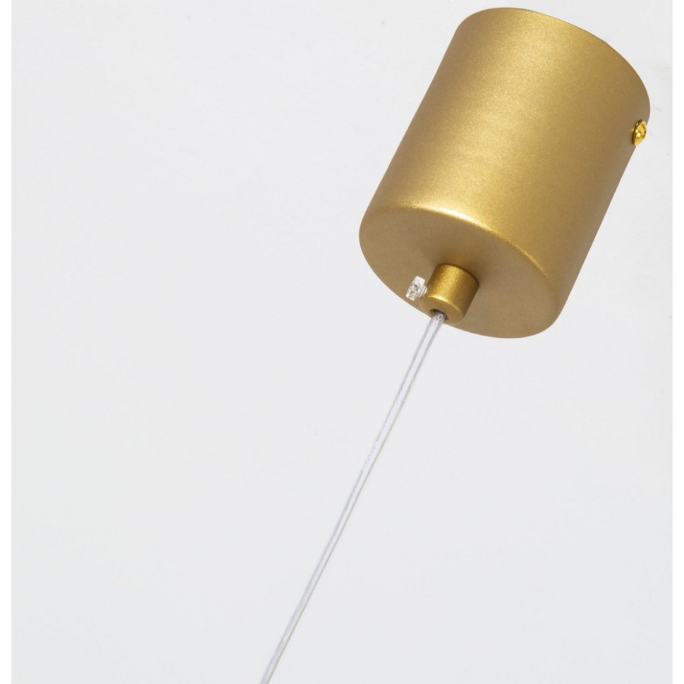 Подвесной светильник F-Promo Altus 4221-1P, цвет матовое золото - фото 4
