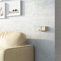 Выключатель проходной одноклавишный Werkel Gallant (шампань рифленый) W5012010