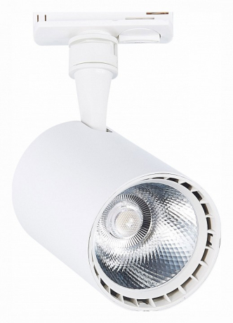 Светильник на штанге ST-Luce Cami ST351.546.20.36 