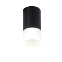 C007CW-01B Накладной точечный светильник Maytoni Pauline