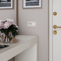 Розетка с заземлением, шторками и USBх2 (слоновая кость) Werkel W1171503