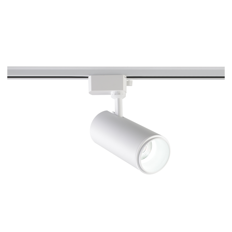 Светильник однофазный Crystal Lux CLT 031 021 WH 3CCT ZOOM 2490₽