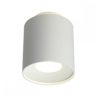 OML-100309-16 Точечный светильник Omnilux Torino