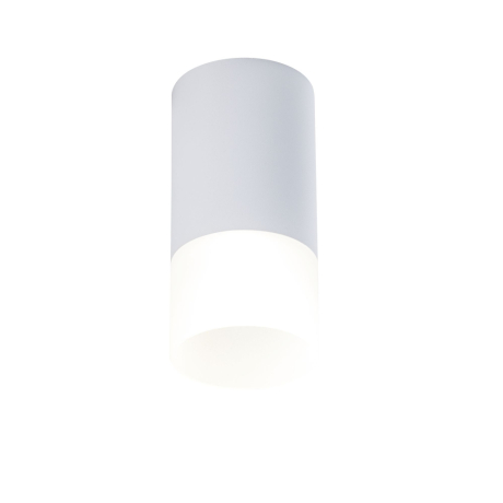 Накладной светильник Maytoni Technical Pauline C007CW-01W 
