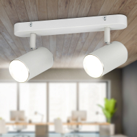 Спот Эра OL35-2 WH Б0056365