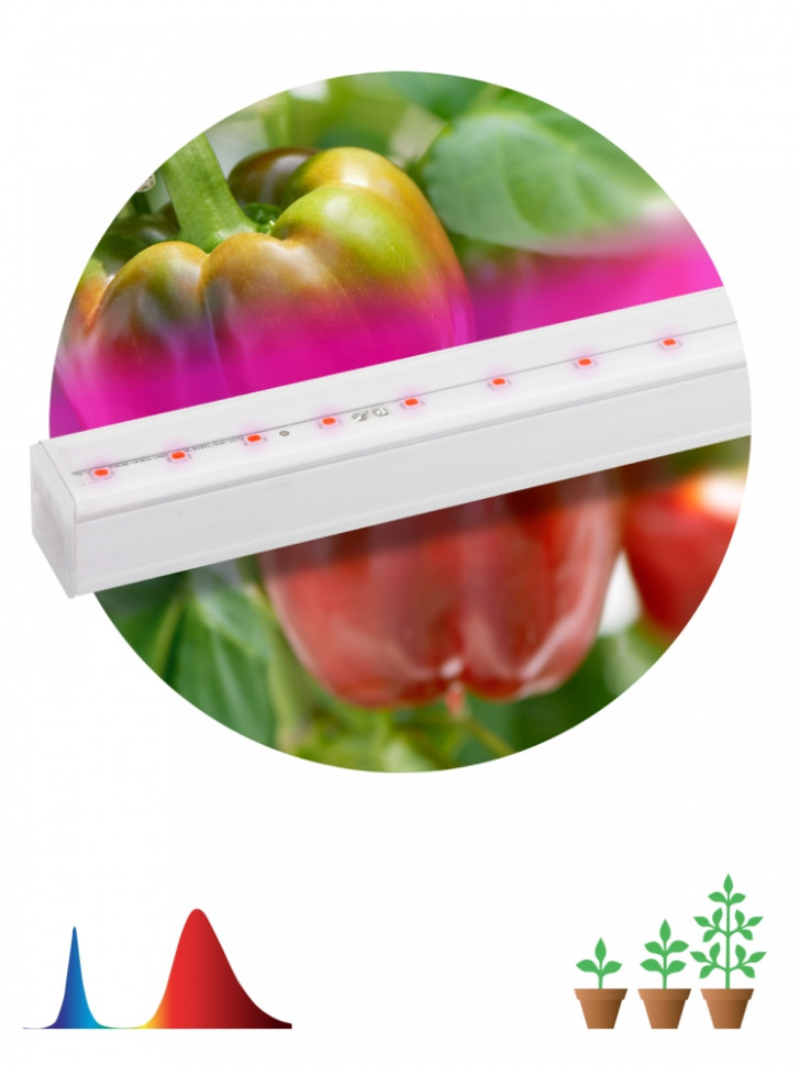 Настенный светодиодный светильник ЭРА Prom Fito-16W-Т5-N Б0045233 светильник для растений фитолампа светодиодная линейная эра fito 16w т5 n красно синего спектра 16 вт т5