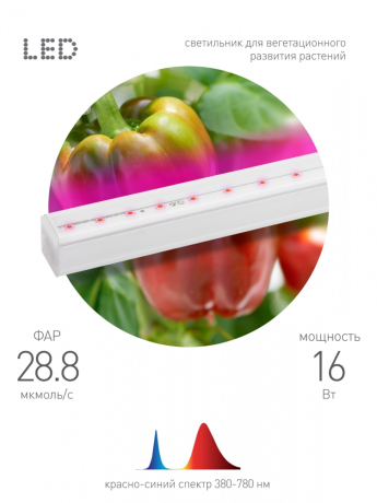 Светильник для растений, фитолампа светодиодная линейная ЭРА FITO-16W-Т5-N красно-синего спектра 16 Вт Т5 Б0045233 