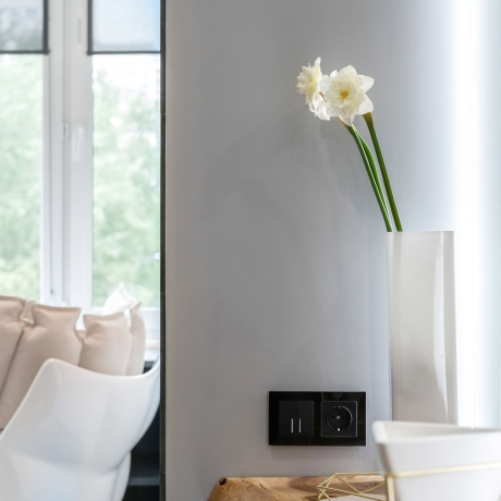 Розетка с заземлением, без рамки Werkel черный матовый W1171008