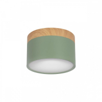 Накладной светильник Loft it Grape 10162 Green