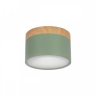 Накладной светильник Loft it Grape 10162 Green 