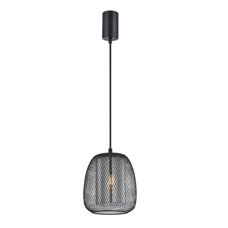 Подвесной светильник с лампочкой F-Promo 4349-1P+Lamps 