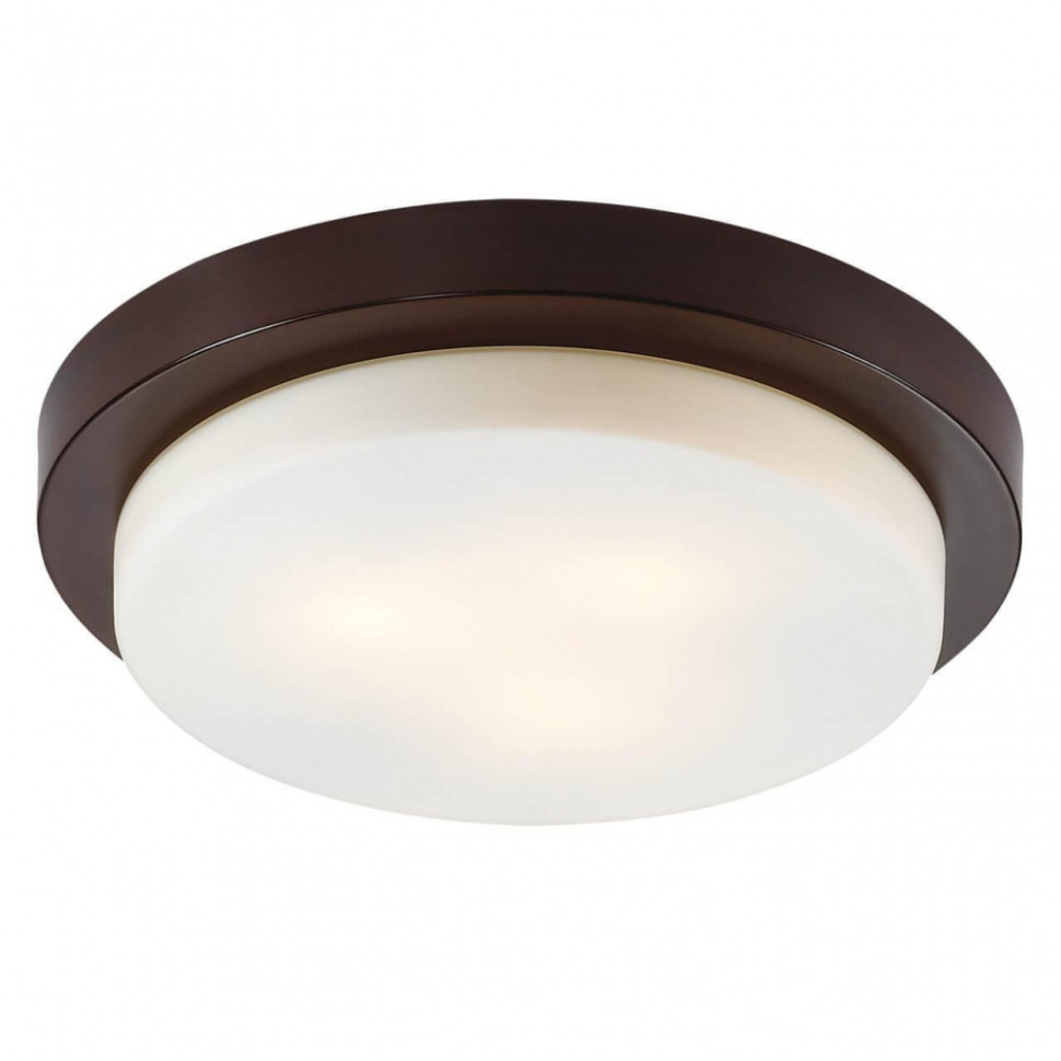 2744/3C Настенно-потолочный влагозащищенный светильник Odeon Light Holger, цвет коричневый 2744/3C - фото 1