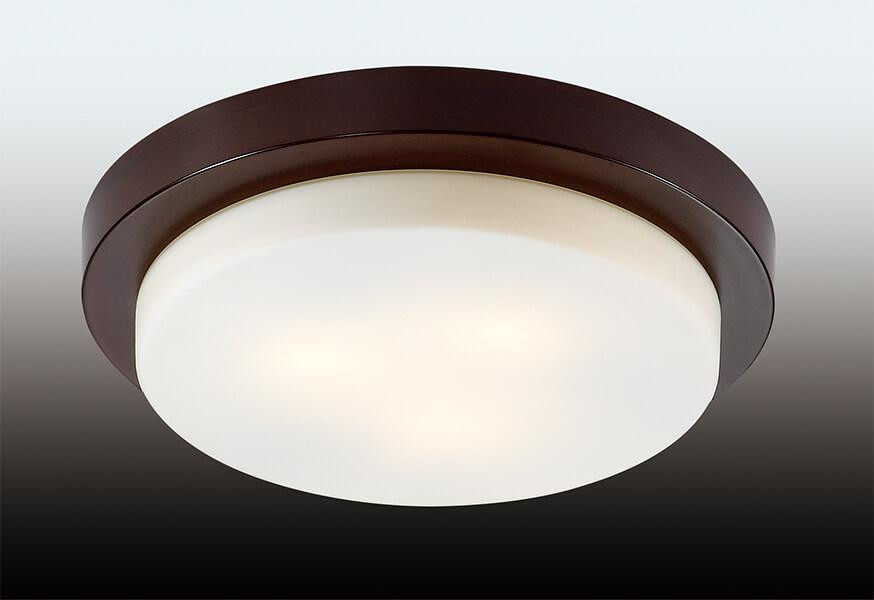 2744/3C Настенно-потолочный влагозащищенный светильник Odeon Light Holger, цвет коричневый 2744/3C - фото 3