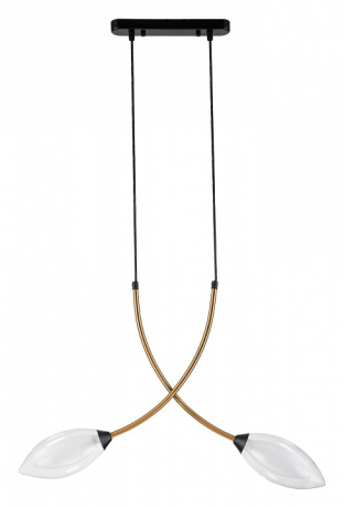 Подвесной светильник Indigo Fiore 13001/2P Black 