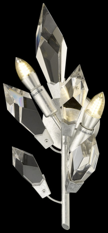 Бра в комплекте с Led лампами Wertmark WE111.02.201+Lamps 