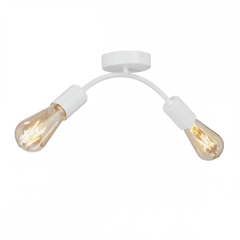 Потолочный светильник Vitaluce V4989-02PL 2303₽