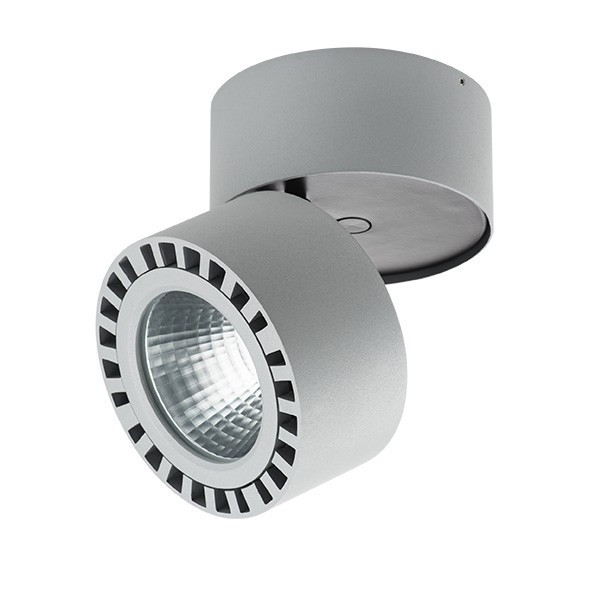 381393 Накладной уличный светодиодный светильник Lightstar Forte, цвет серый - фото 1
