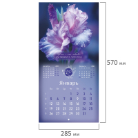Нарушена упаковка!  <842861> Календарь настенный перекидной 2026 г., BRAUBERG, 12 листов, 28,5х28,5 см, "Floral", 116939