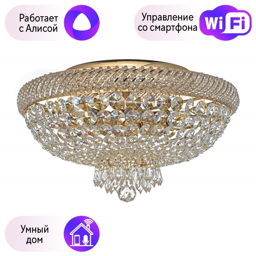 Потолочный светильник Dio DArte Elite с поддержкой Алиса Bari E 1245100 G-A 68880₽