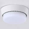 Накладной светильник Ambrella Light G G10188 