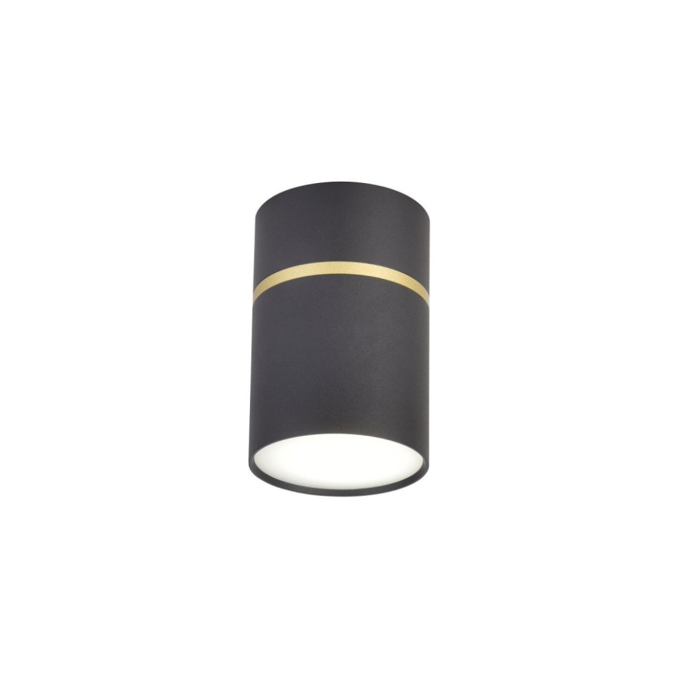 Накладной светильник Favourite Dunia 3068-1C, цвет матовый черный, золото - фото 1