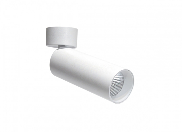 Накладной поворотный светодиодный светильник (блок питания в комплекте) Donolux Rollo DL18895R15N1W ST 