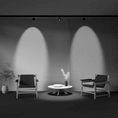 Светильник на штанге Maytoni Technical Lens TR217-2-15W4K-B