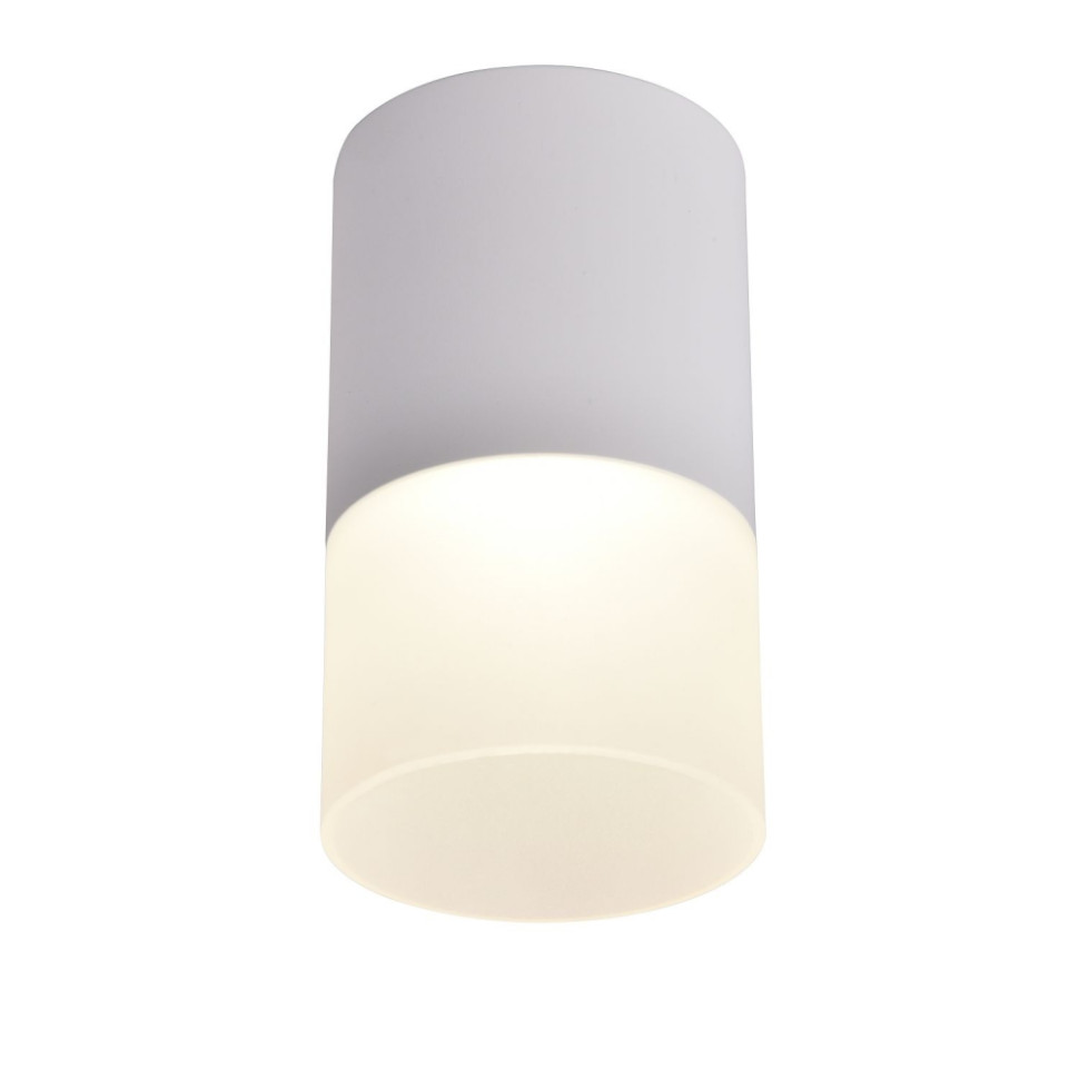 Накладной светильник Favourite Naram 3069-1C, цвет белый - фото 1