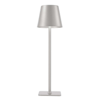 настольный светильник F-Promo Pyari 4617-1T