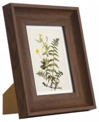 Фоторамка настольная Eglo Renabie 423003