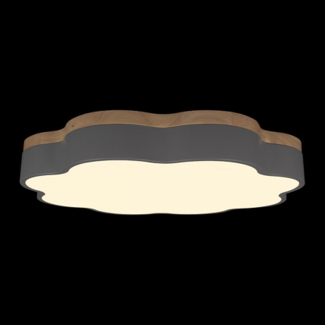 Накладной светильник Loft it Axel 10225/36 Grey 