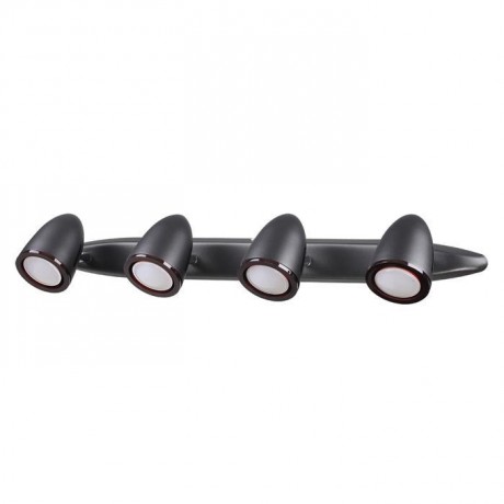 3824/4W Спот Odeon Light Imagio
