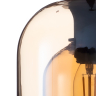 Нарушена упаковка! <303517> Подвесной светильник Arte Lamp Paio A7015SP-1BK