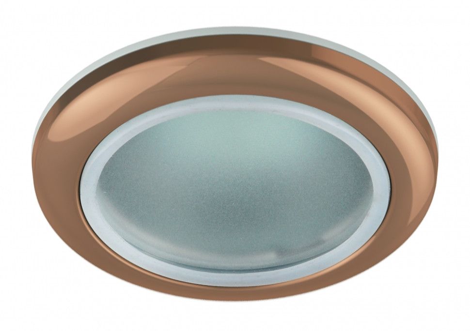 Точечный встраиваемый влагозащищенный светильник ЭРА WR1 SC C0043844, цвет медь - фото 1