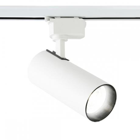 Светильник на штанге Ambrella Light GL GL5822 