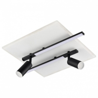 Накладной светильник Lumion STELLS 8256/40CL