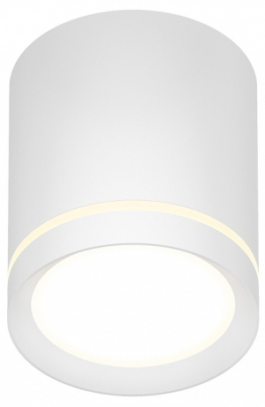 Накладной светильник Denkirs DK401 DK4016-WH 