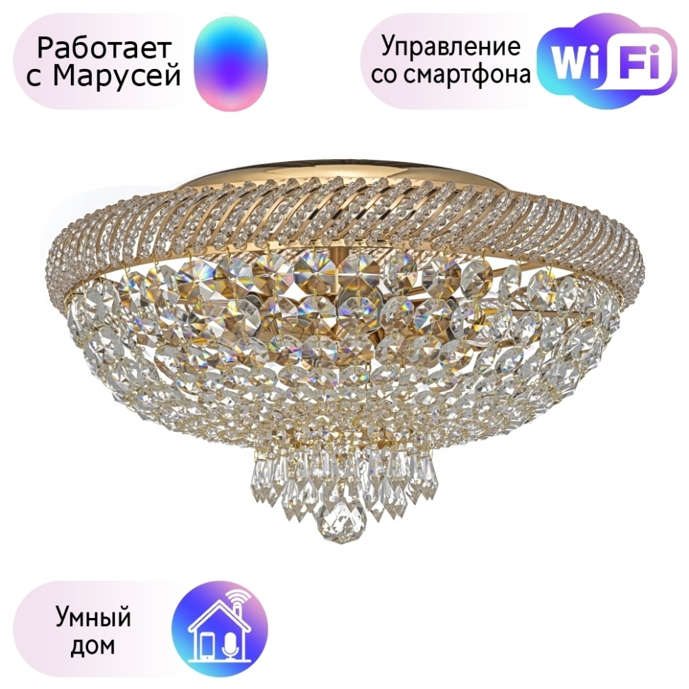 Потолочный светильник Dio DArte Elite с поддержкой Маруся Bari E 1245100 G-М 68880₽