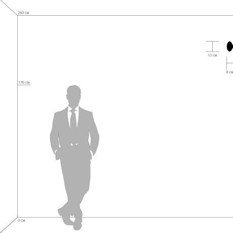 Накладной светильник Lightstar Uovo 807010 