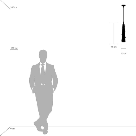 804310 Светильник подвесной Lightstar Petalo 