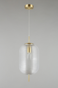 Подвесной светильник с лампочкой APLOYT APL.316.16.01+Lamps