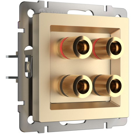 Акустическая розетка (шампань) Werkel 368809