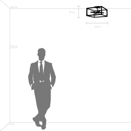 Люстра на штанге Lightstar Regolo 713347 