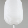 Подвесной светильник с лампочкой APLOYT APL.316.26.01+Lamps 