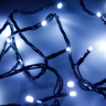 5м. Гирлянда нить холодный свет Ardecoled 230V ARD-String-Home-5000-Green-50Led-Std White (423968)